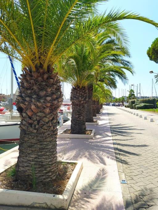 Joli Appartement Avec Grande Et Belle Terrasse, Au Pied De La Plage Du Grazel! Gruissan Exterior foto